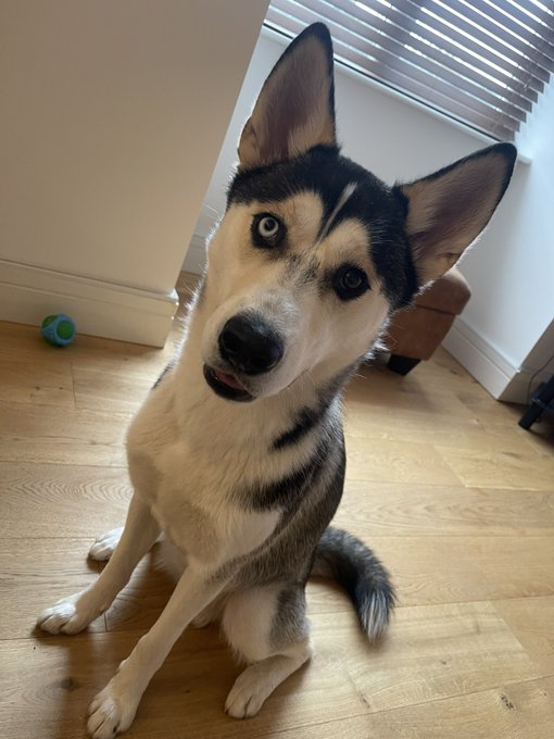 Louise Moore’s pics and videos