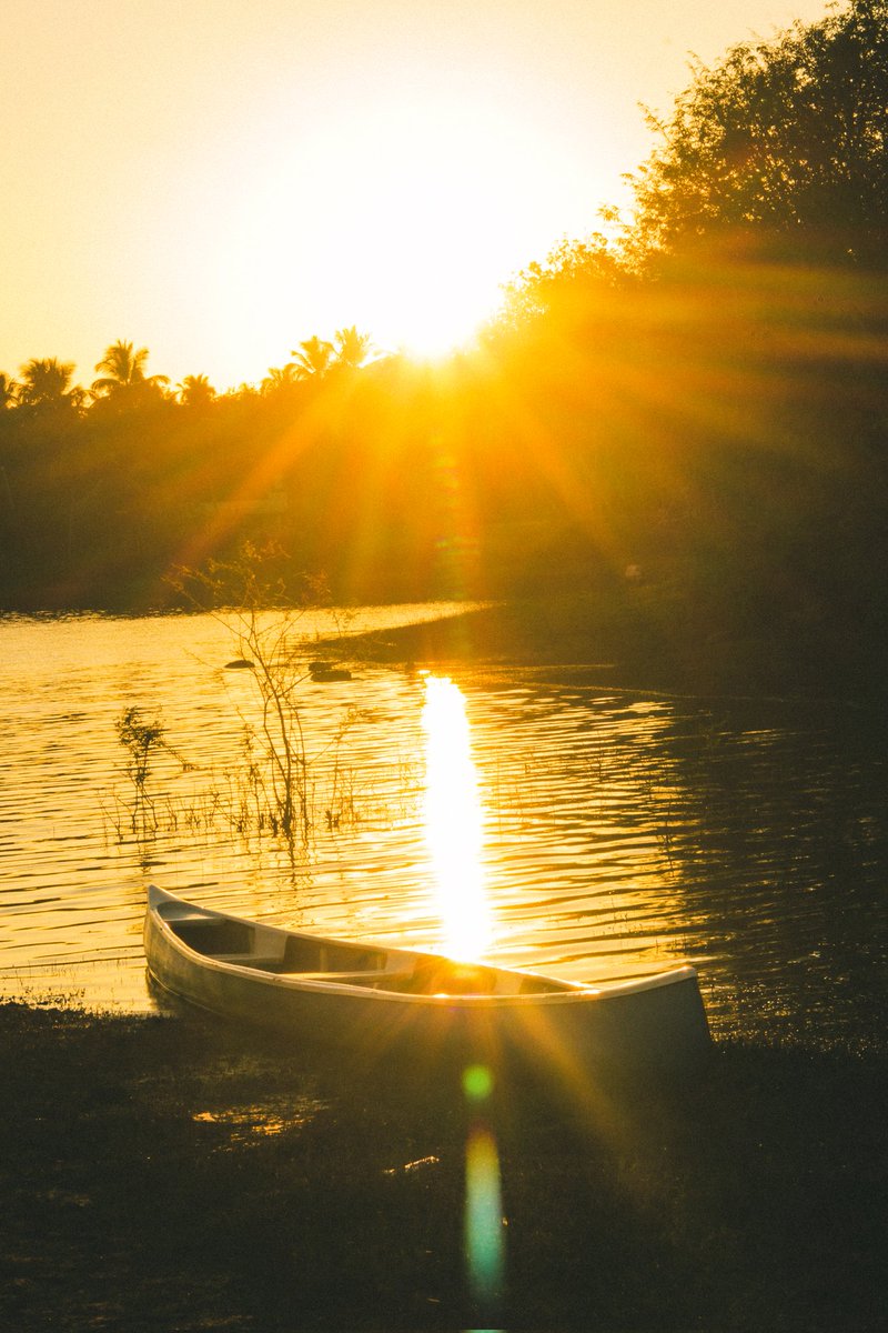 Alocious K Jose tweet media