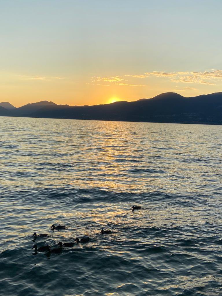 Meine kleine Reise rund um den Gardasee bistro-bonvoyage.de/ziele/italien/…