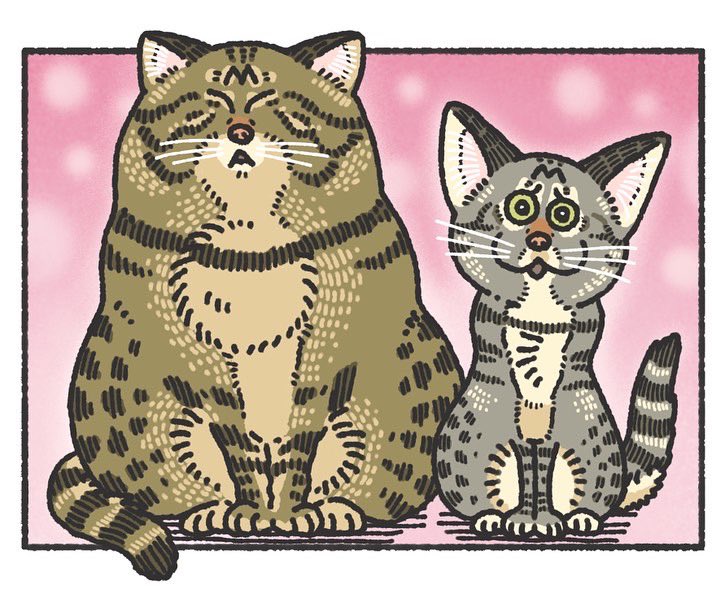 どら猫キジトラさん Kijitorar3 Twitter