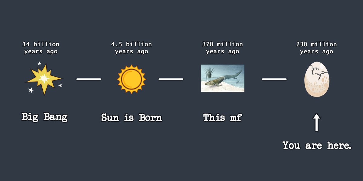 gm.

#stupidlizards #NFT