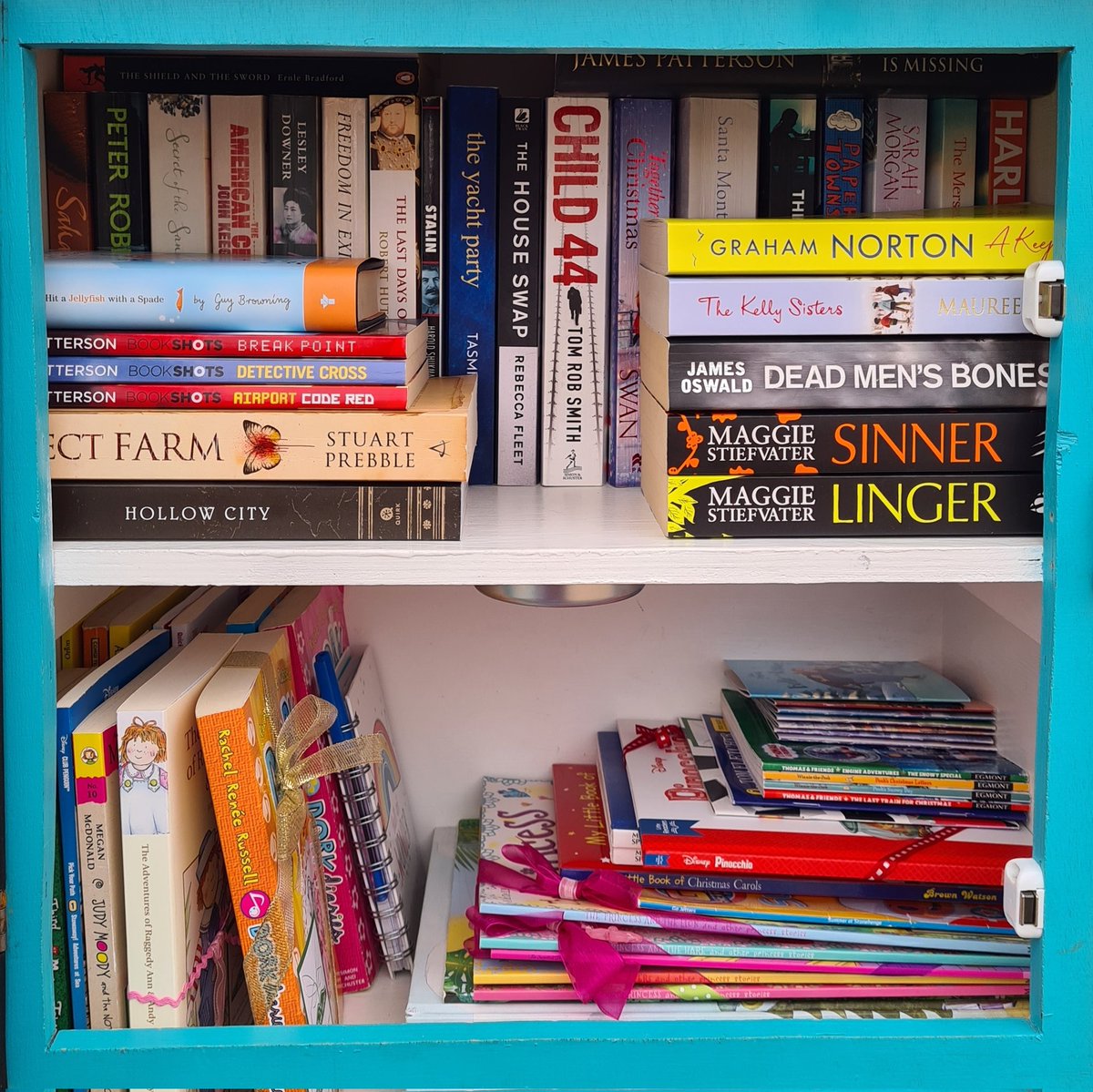 Little Book House #Shelfie 💙📚🏡
#IBelieveInBookFairies
#PoweredByBookFairies
#Littlefreelibrary #Dunfermline #Fife #ShineOnFife