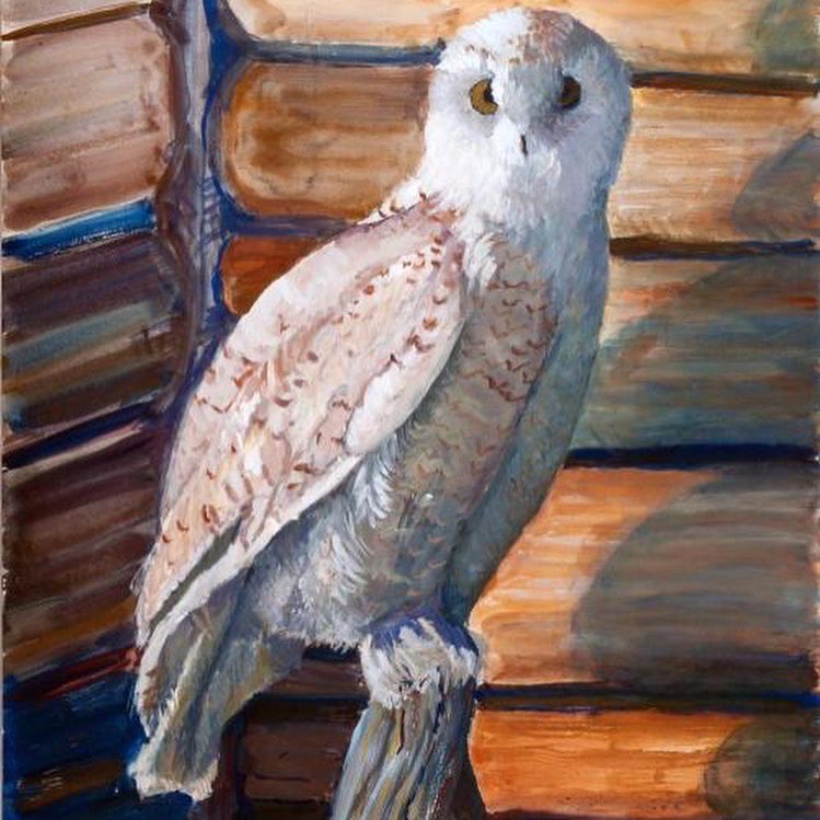 Celebrating #SuperbOwl with a superb owl in our permanent collection. #Superb_owl