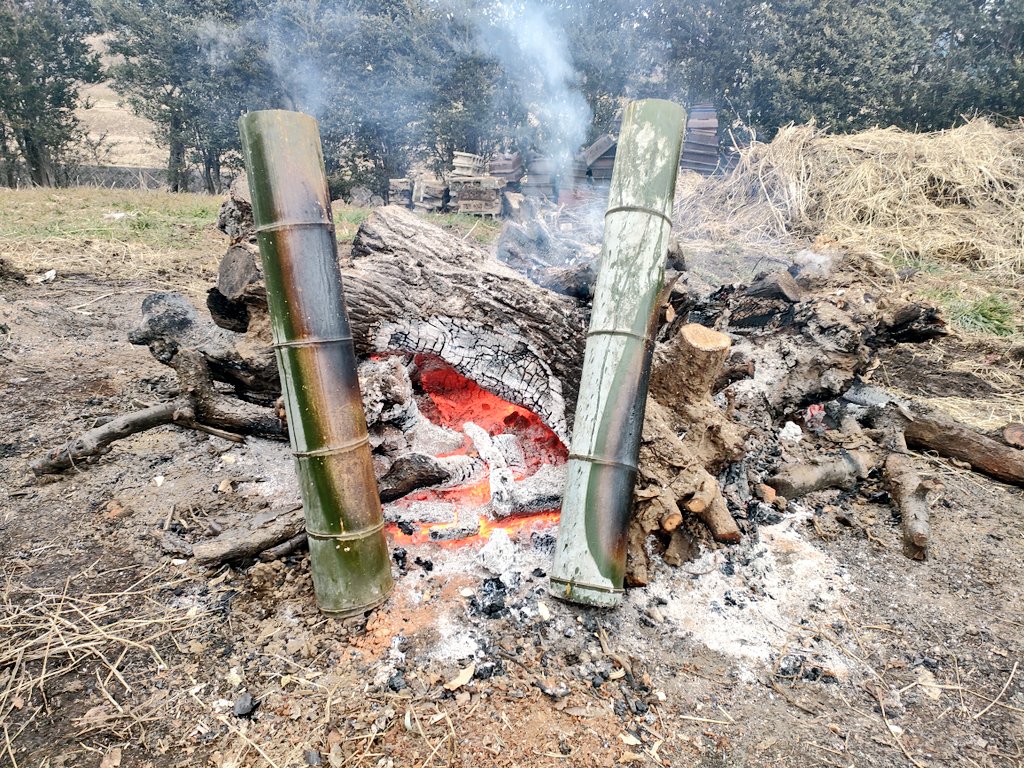 焚き付け用　竹　10〜12キロ 炙ってるけど、このサイズのスズキだと必然的に大きい竹使用になるし
