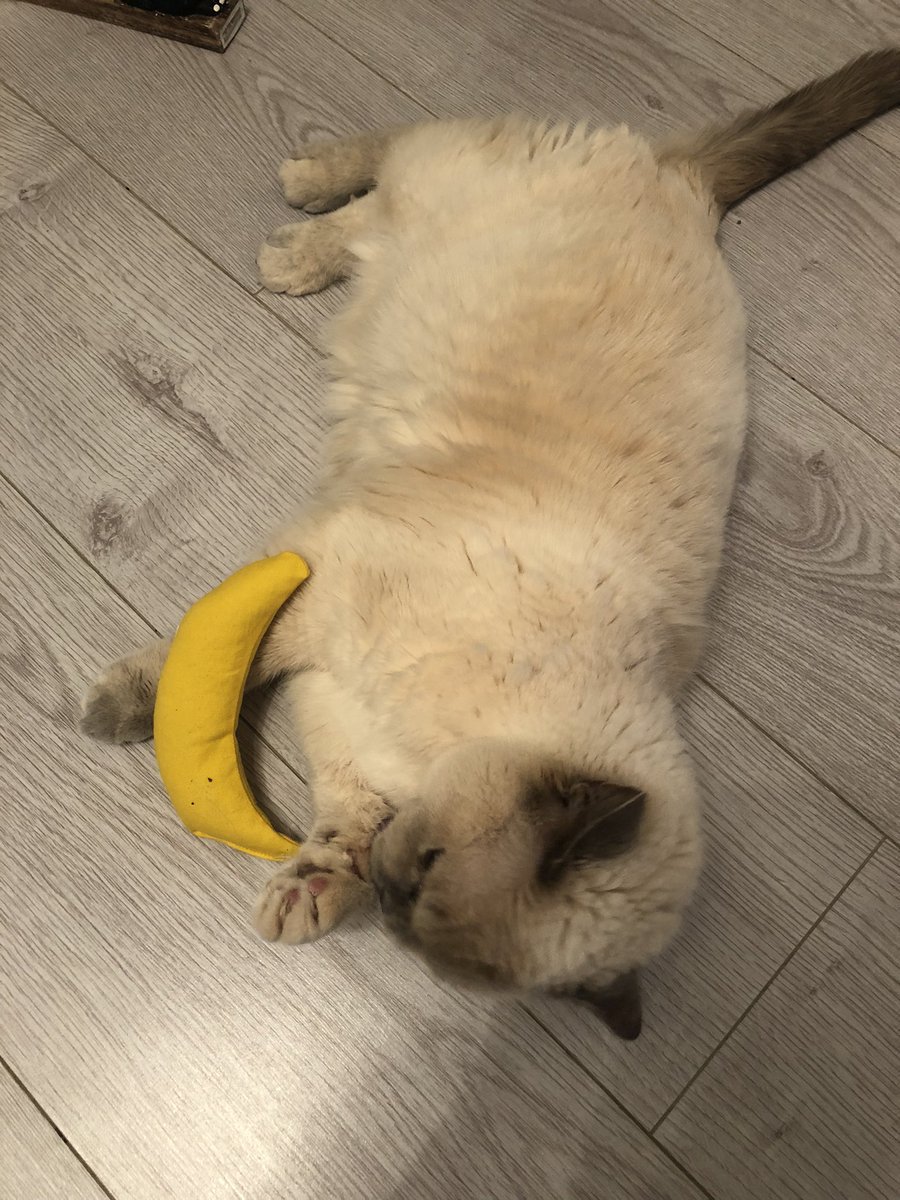 Miffy 🌈 (@MiffyJG) / Posts / X