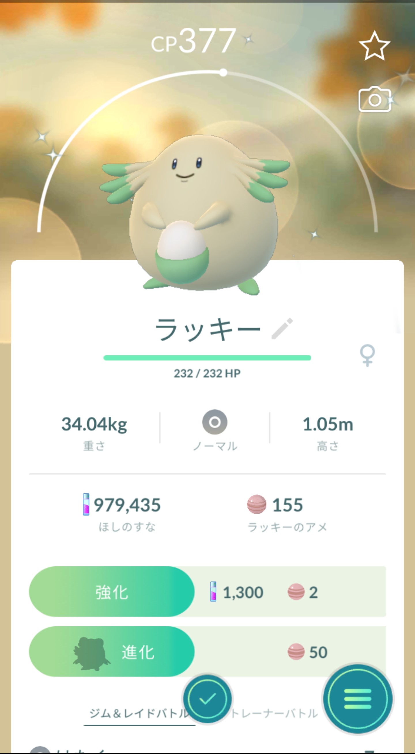 Tokko Tokko Twitter