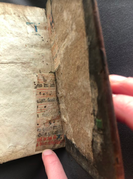 Sam Kavanagh tweet media