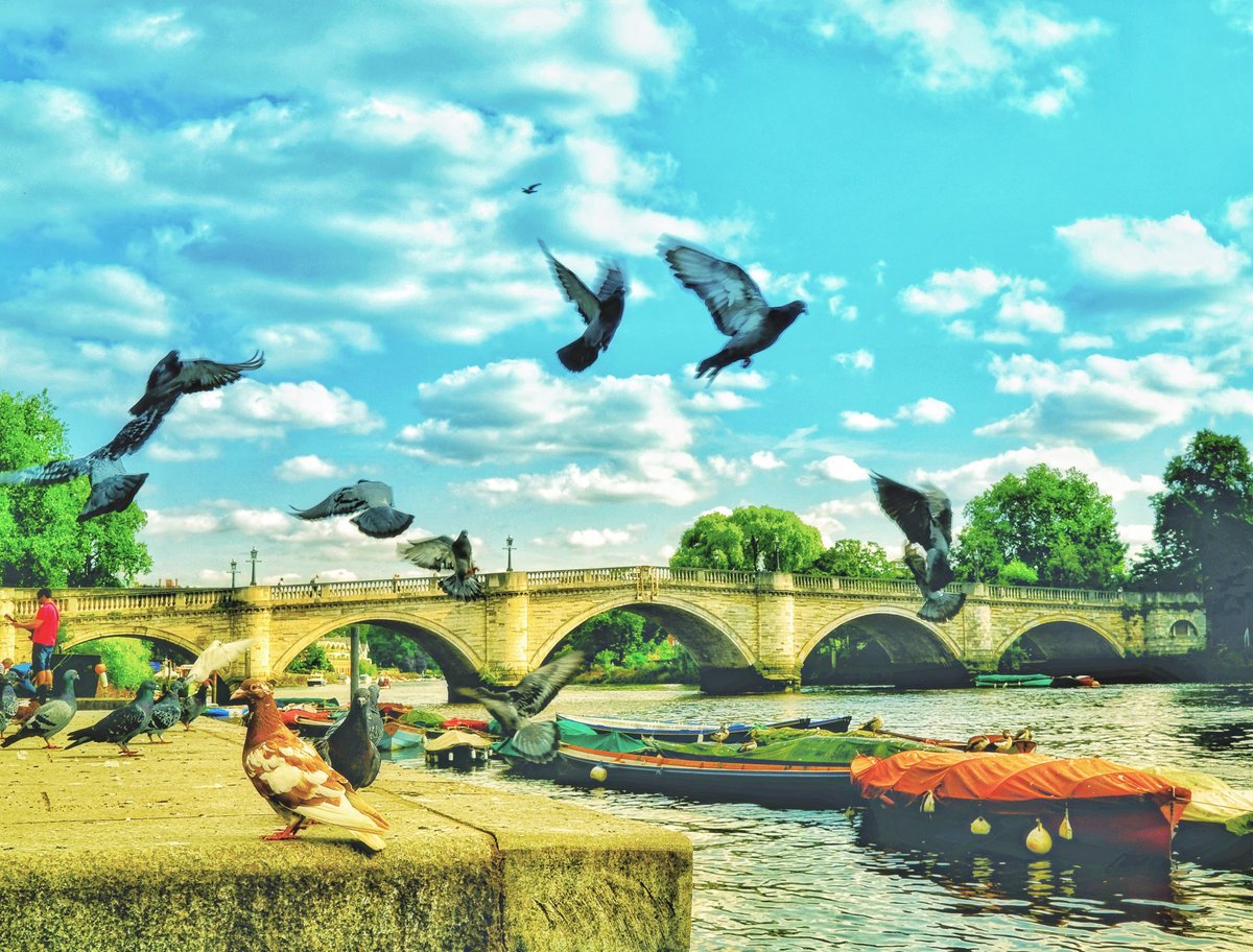 BRANDEER LONDON tweet media