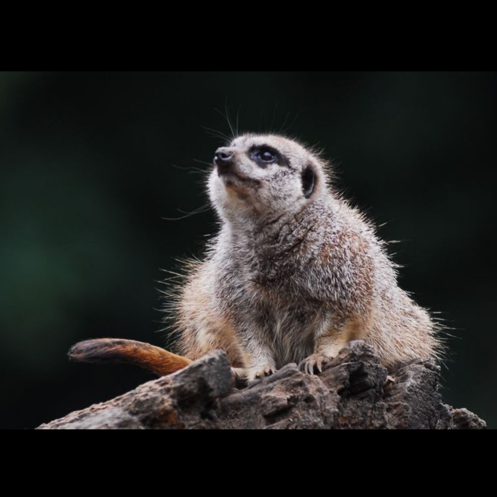 Postive non political tweets