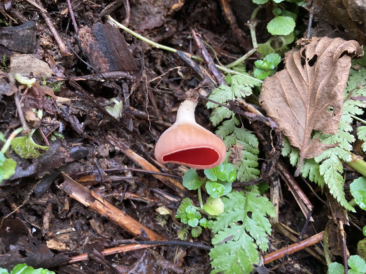 Exmoor NPCs tweet media