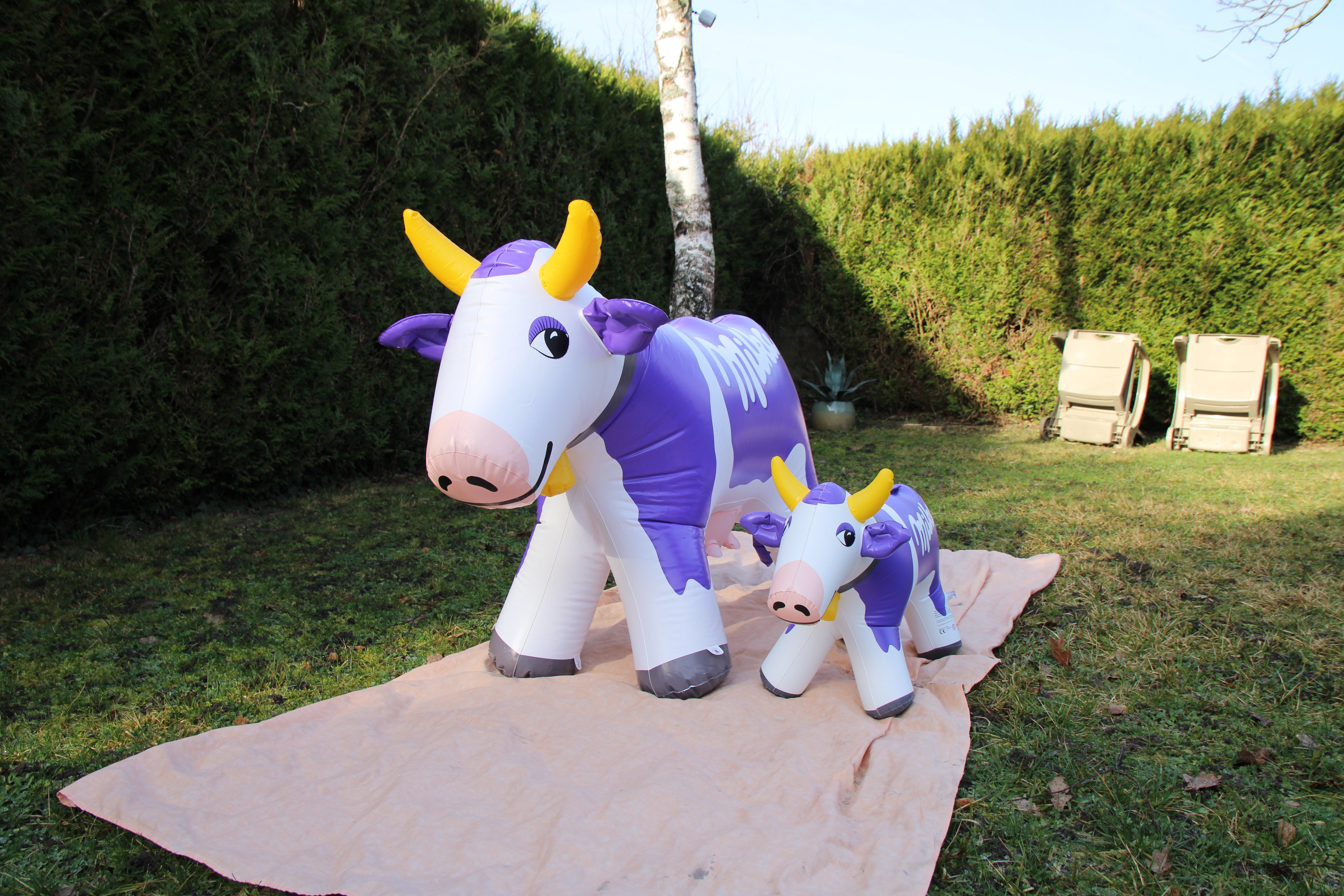 univers des gonflables et furry on X: "I finally found the little milka cow  https://t.co/TA3q1oSqsB" / X