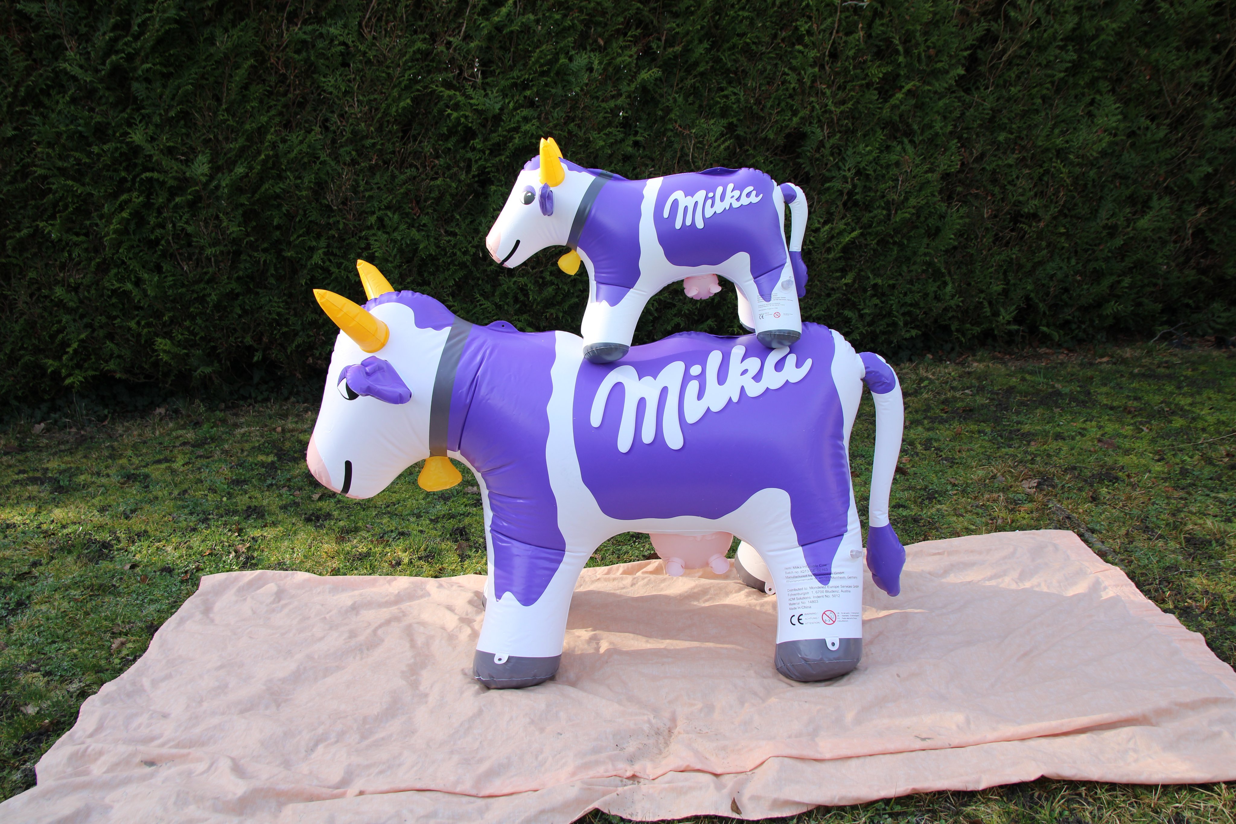 univers des gonflables et furry on X: "I finally found the little milka cow  https://t.co/TA3q1oSqsB" / X