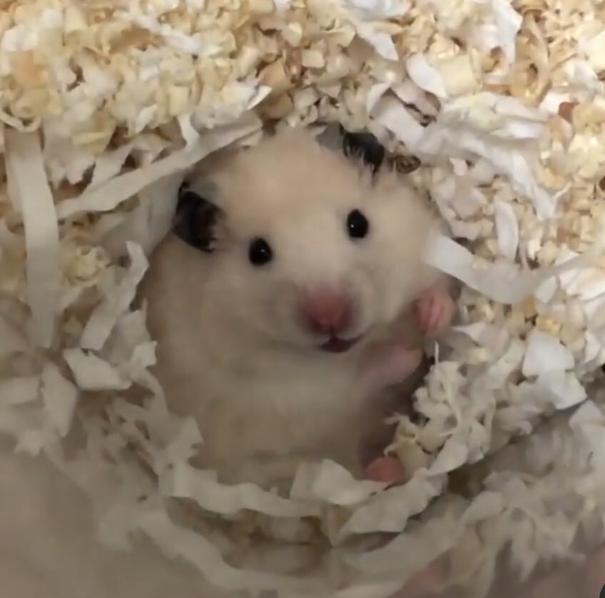 모야 나 여기 있는거 
어떻게 찾았어?! ' ㅇ ' ?!