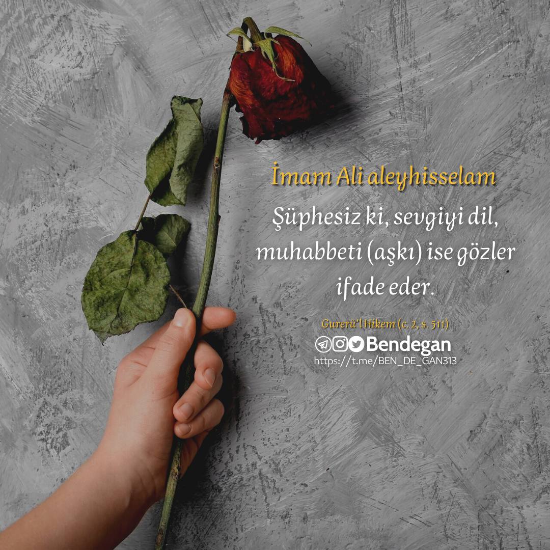 rubab_14's tweet photo. 🕊️🕊️🕊️ https://t.co/R1IZ83xUcC