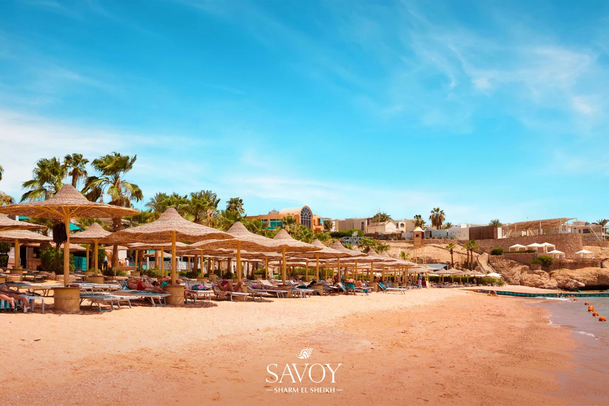 SavoyGroupSharm's tweet photo. Picture yourself enjoying a long walk with your favorite drink along this marvelous beach during your next vacation at Savoy Sharm El Sheikh.
#SavoyGroupSharm
#SavoySharmElSheikh
#RedSea https://t.co/oXDsnMSG67