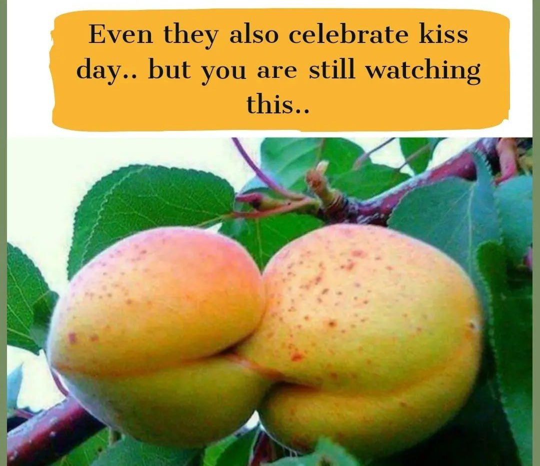 Shroff1232's tweet photo. 🤣🤣🤣🤣
#KissDay
#Always_Single https://t.co/tHgkHU3kkh