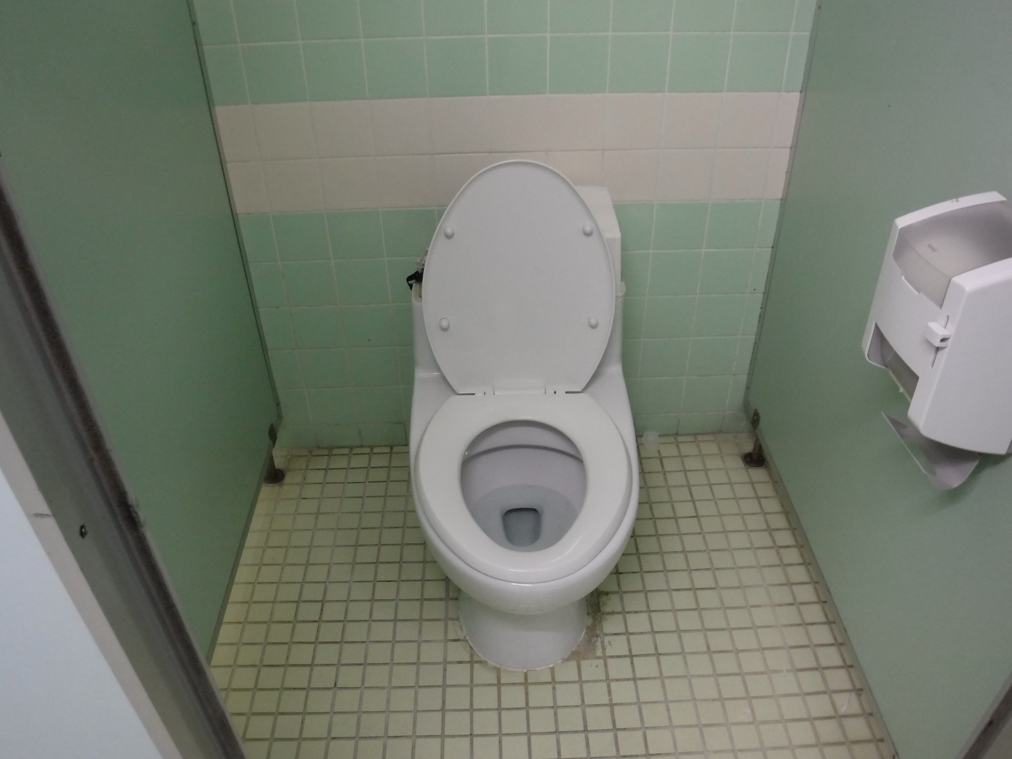 Toyo 珍品 とあるボウリング場のトイレです 洋式便器はアサヒ衛陶のワンピース便器が設置されています この物件は12年3月以来 約10年ぶりに訪れましたが そのときより状態が悪くなっていました タンク蓋やレバーが欠損していた トイレ珍品