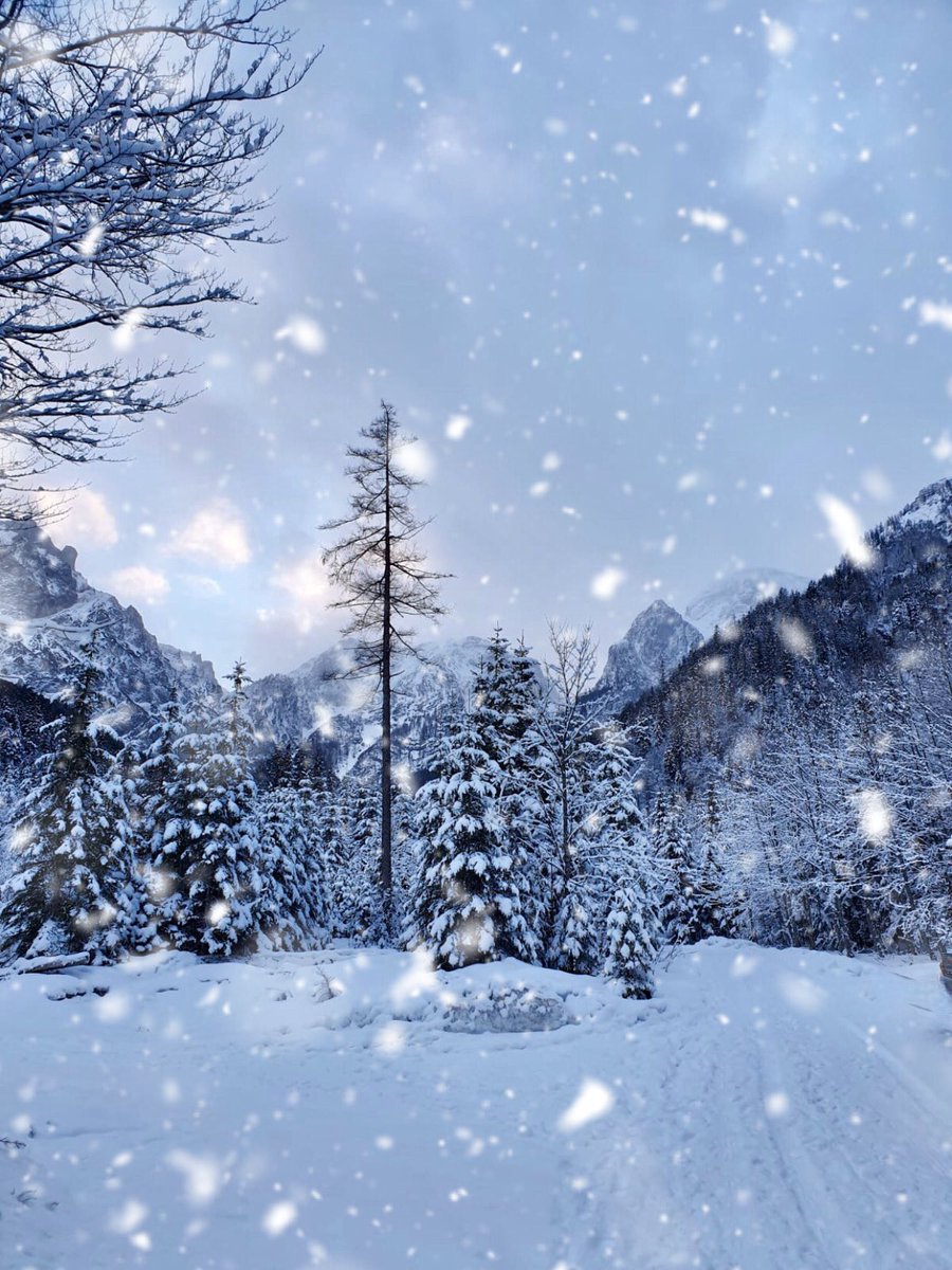 Misfunkshun's tweet image. I’m ready for spring, 
but here’s one last snow picture coz it’s so beautiful ❄️ 
#byewinter #hellospring