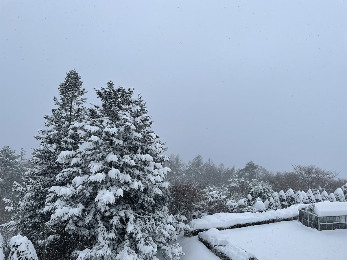 1010sauna's tweet photo. 先日の大雪の中、ホテルマウント富士に初めて行ってきたんです
サウナもオートロウリュも素晴らしい！
水風呂も2種類どちらもよい！
でも雪の中の外気浴なんて初めてで、久しぶりにぐるんぐるんの回転系整いしましたわ…
朝にはすっかり晴れて富士山も見れたし、また行きたいなー！ https://t.co/jGWdvkJwYh
