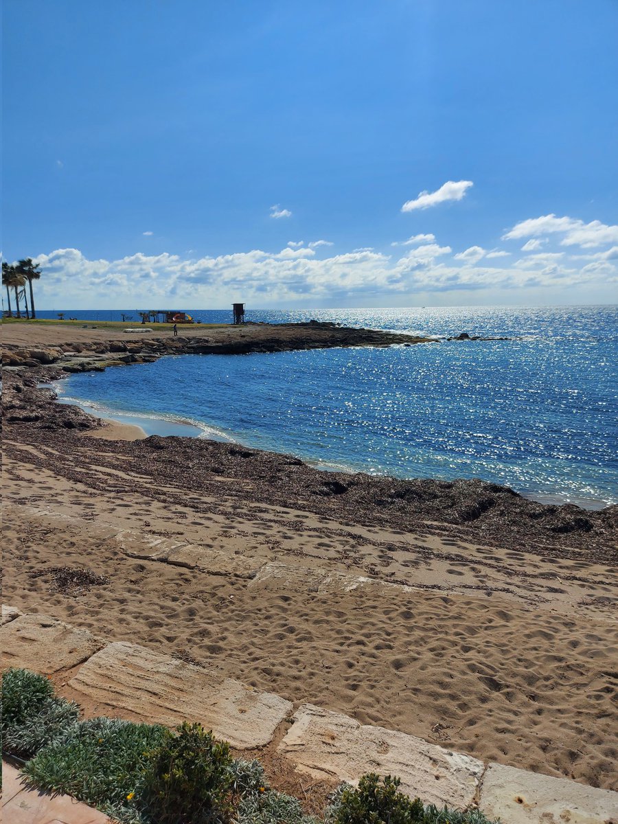 cp9Pe4QMO58HdQQ's tweet photo. #swim2022 #pafos #blessed https://t.co/uOwpkcV09p
