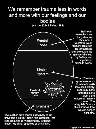 mindkindmom.com/limbic-revisio…
Nice visual and article.🧠🌱