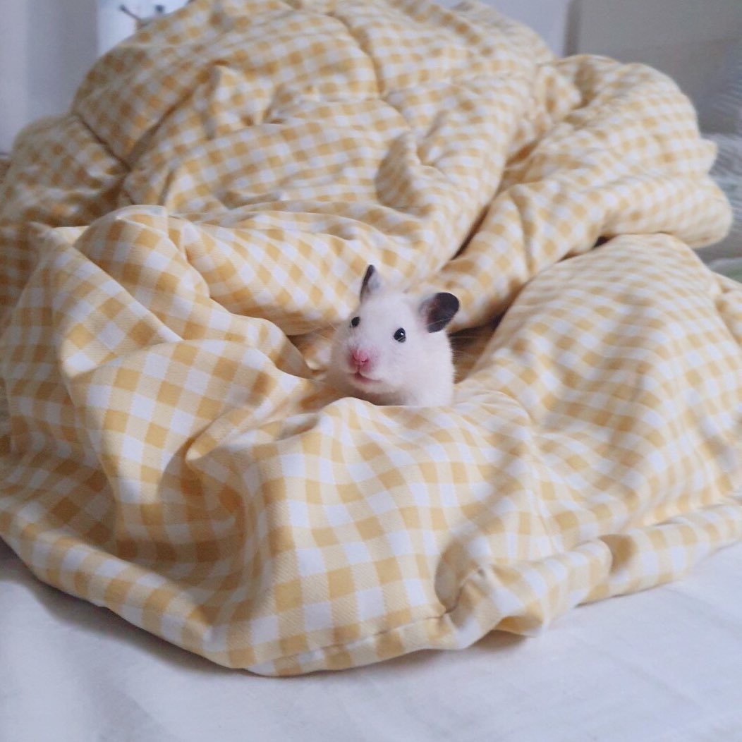 한달 후면 두 돌인데 아직도 귀여움