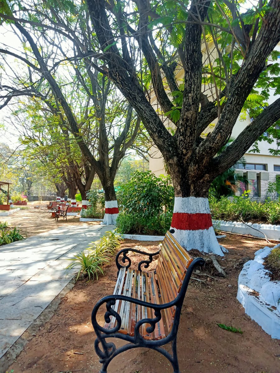 Akhilsagarla's tweet photo. Cool breeze..
Silent atmosphere..
Empty bench..
Big trees..
Quail chirps..
What else is needed for the pleasant time 😊
#freshmood
#pleasantatmosphere
#thoughtsoflife https://t.co/WTYVTrZtzt