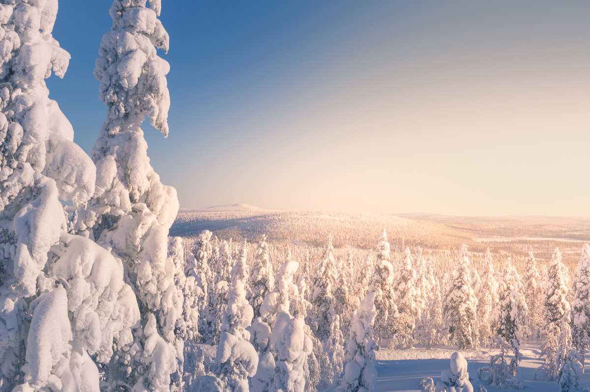 GamificationGG's tweet photo. The deadline for GamiForest symposium at #GamiFIN2022 is close! We welcome extended abstracts on #gameful and #ludic approaches to #forests and #nature in general.
Submit your work before February 21. More details and instructions at: https://t.co/i3cuu6GZD8 @UNITEflagship https://t.co/QDOncmjBjN