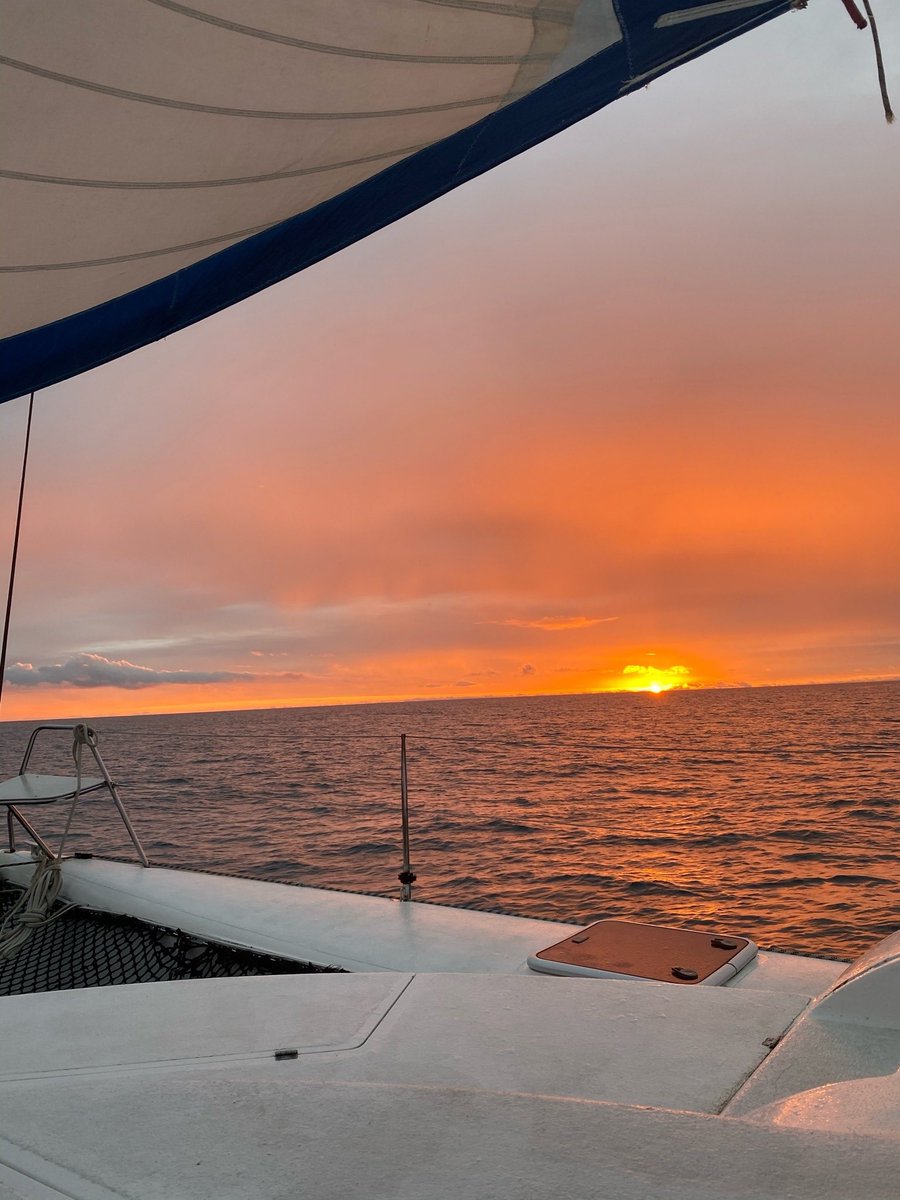 tmbIrpics's tweet image. Sunset vibes