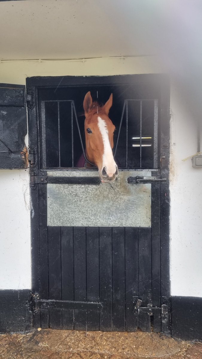 money_rider's tweet image. Whilst very greatful to be allowed/invited to @MprUpdates stable visit to @sevenbarrows got to get a quick picture/video of #IssuingAuthority