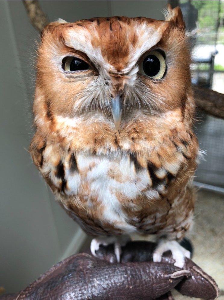 Maryland Zoo tweet media