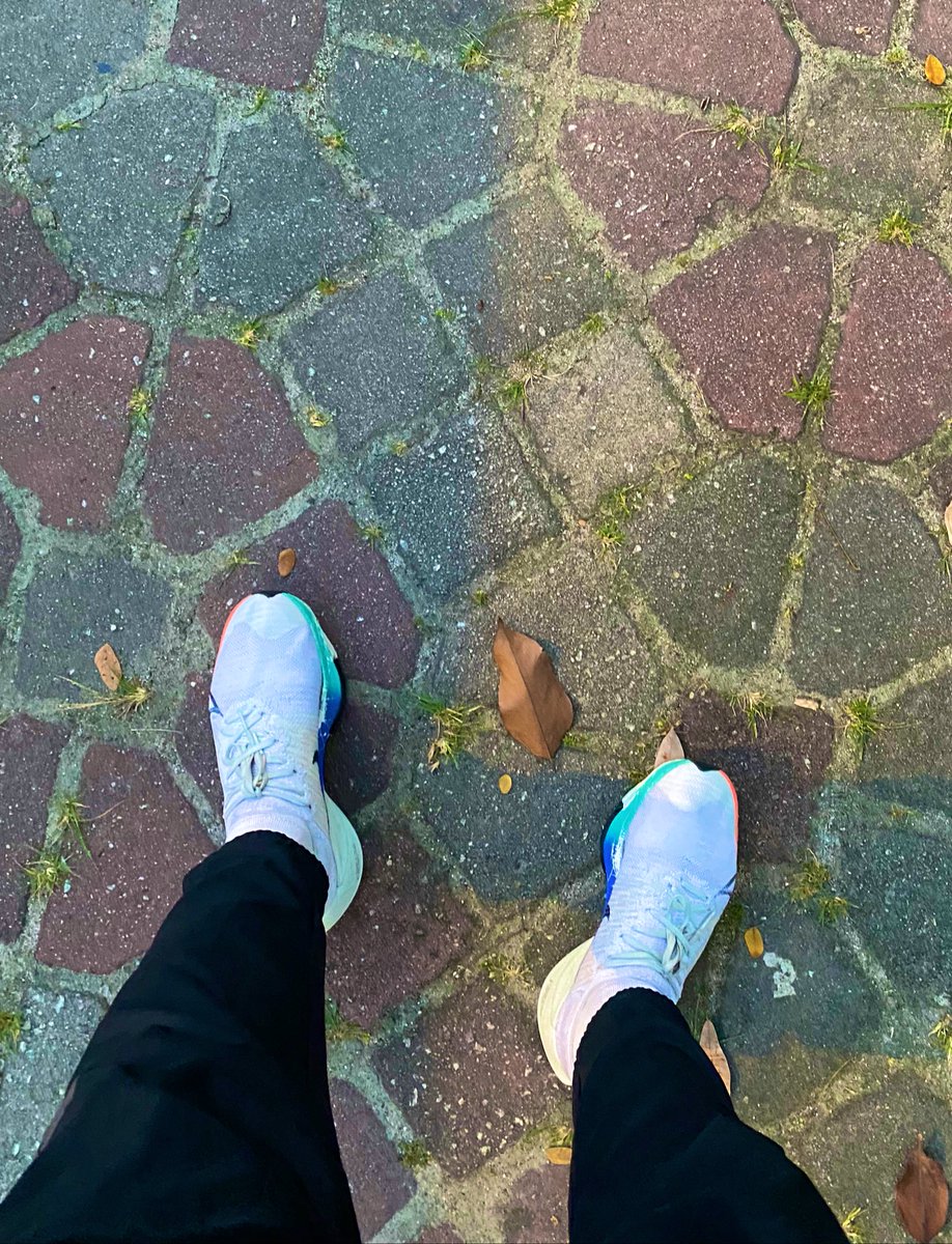 A12A7's tweet photo. Library PPAS tutup awal, cuaca pun okay petang tadi, salin baju, lari dulu. Melayan kasut yang bakal bersara.
.
📍Shah Alam
.
@twtjogging
.
#TempoNext% https://t.co/s9PzoVw0JA
