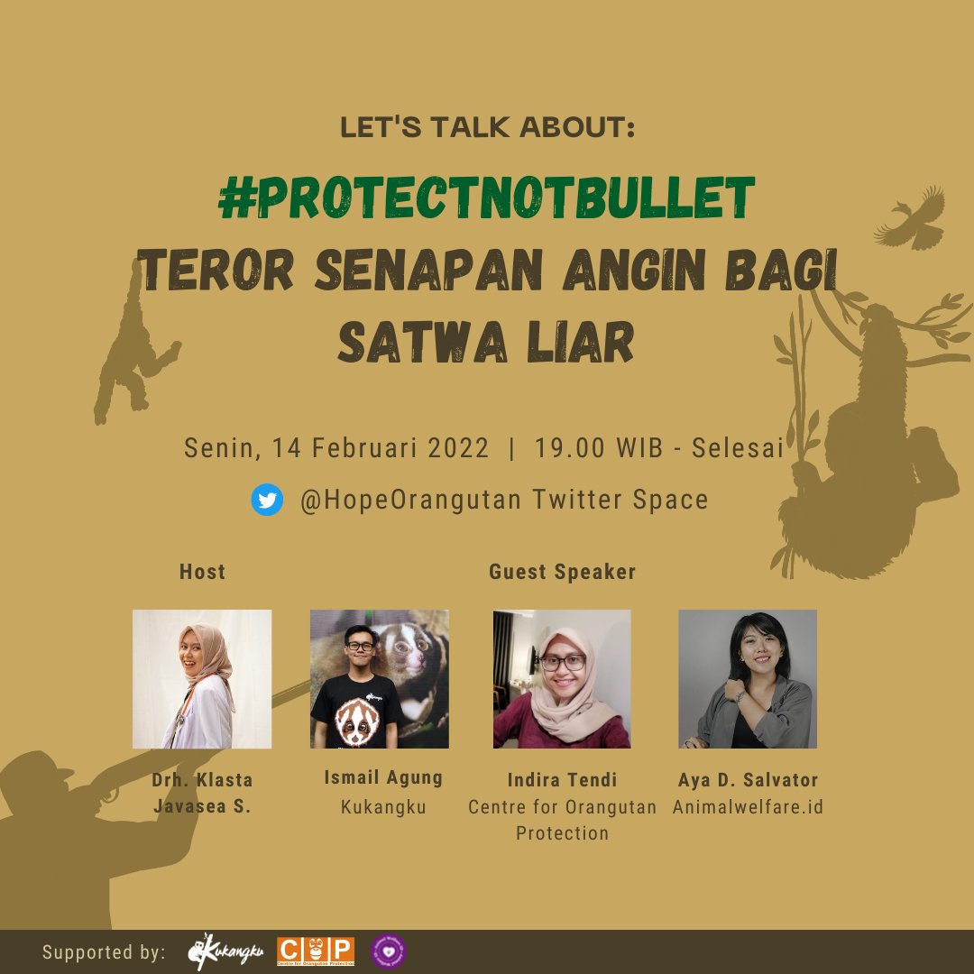 HopeOrangutan's tweet photo. Let's Talk About #ProtectNotBullet

TEROR SENAPAN ANGIN BAGI SATWA LIAR 💥

Di hari kasih sayang ini Hope berkolaborasi dengan @kukangku, @orangutan_COP, dan @/AnimalWelfare  mengajak kalian untuk gabung dalam Twitter Space Let's Talk About #ProtectNotBullet #TerorSenapanAngin https://t.co/DXpnkdlTUD
