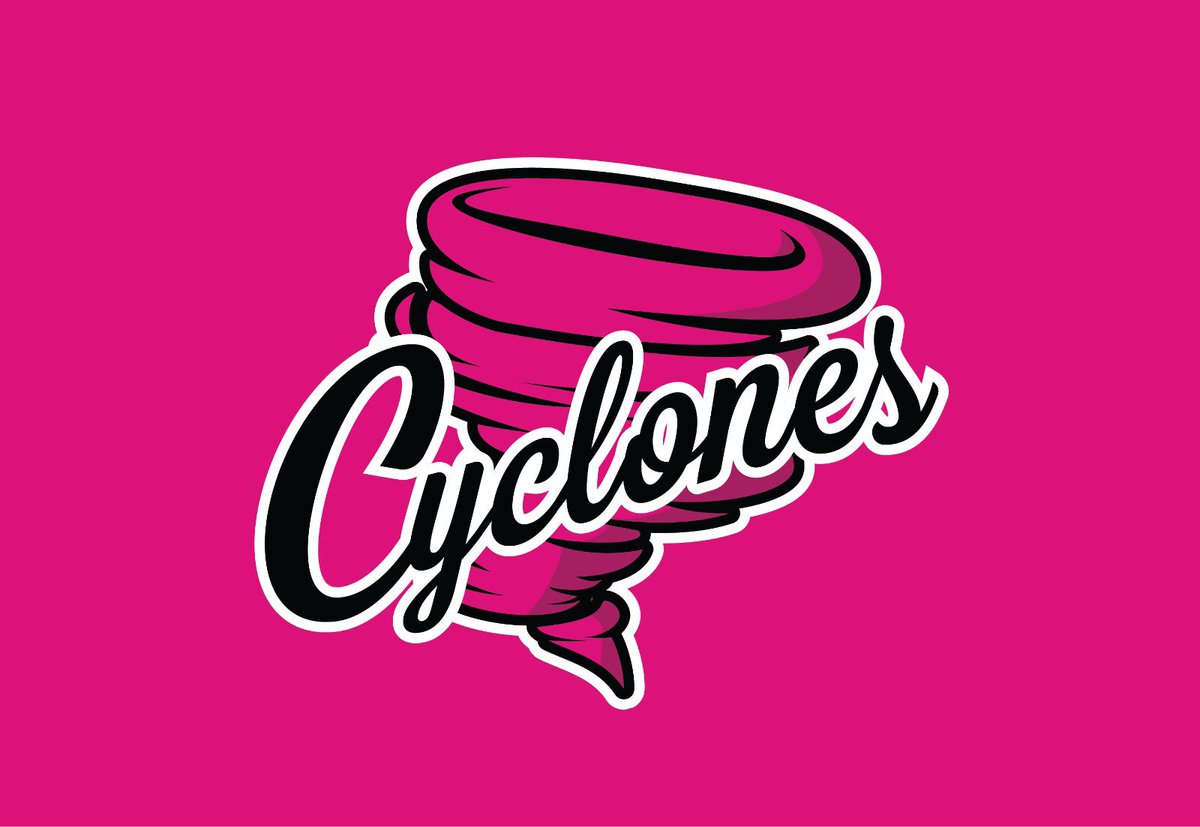 BelfastSoftballClub tweet media