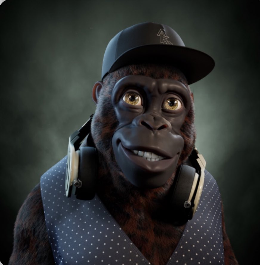 Zootaco tweet media
