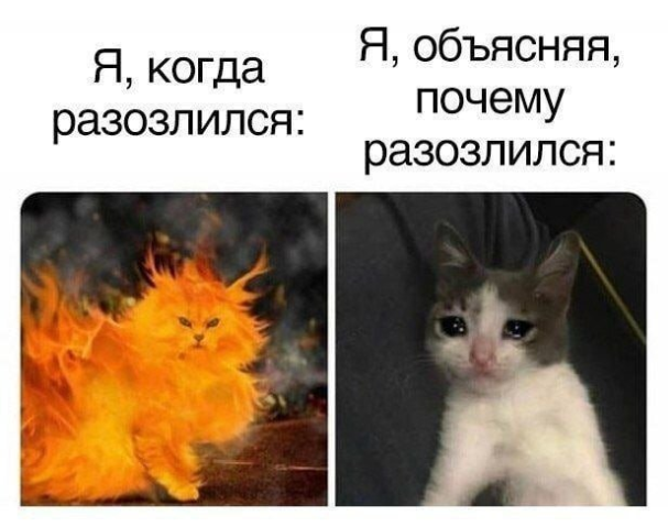 so_mad_so_funny's tweet photo. https://t.co/SrgalMFH4h
