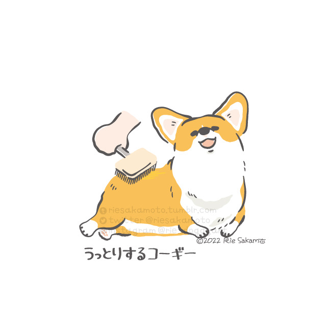 「ブラッシングされているときのコーギーあるある/うっとりするコーギー(1/11) 」|サカモトリエ/イラストレーターのイラスト