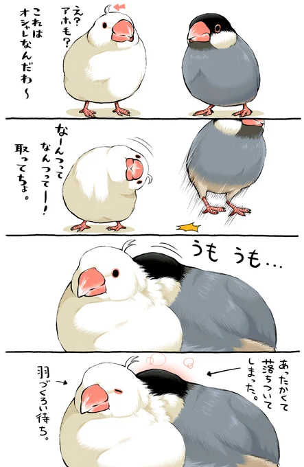 鳥さんの4コマ漫画をよく描いてます。 #鳥達のTwitter展覧会 