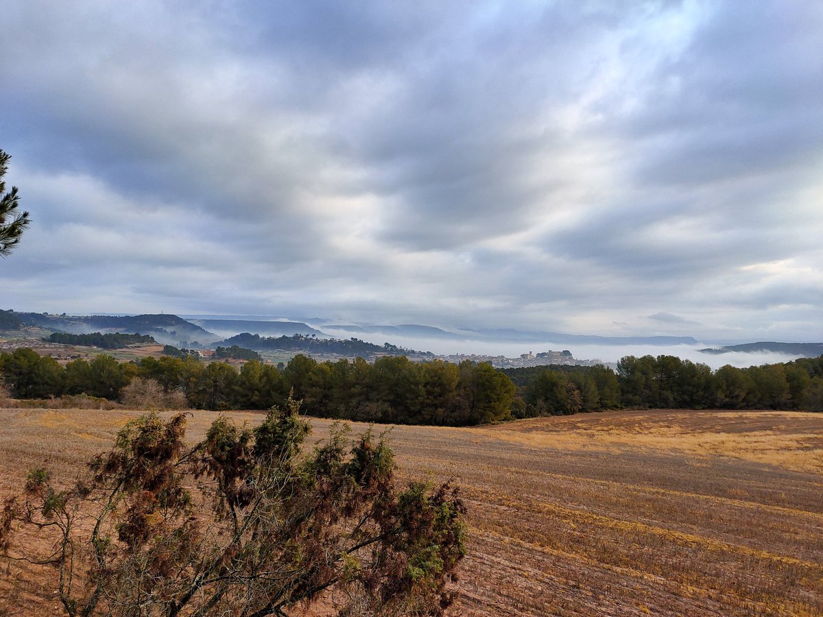 DianaHD's tweet photo. @eltempsTV3 mar de núvols a l'Anoia, Sant Martí de Tous a les 8h. del matí. https://t.co/BrHVXlxJDT