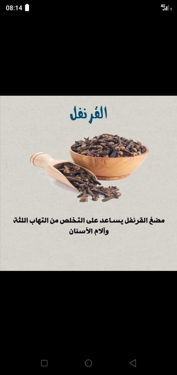 saoudi brahim (@saoudi43101849) on Twitter photo 