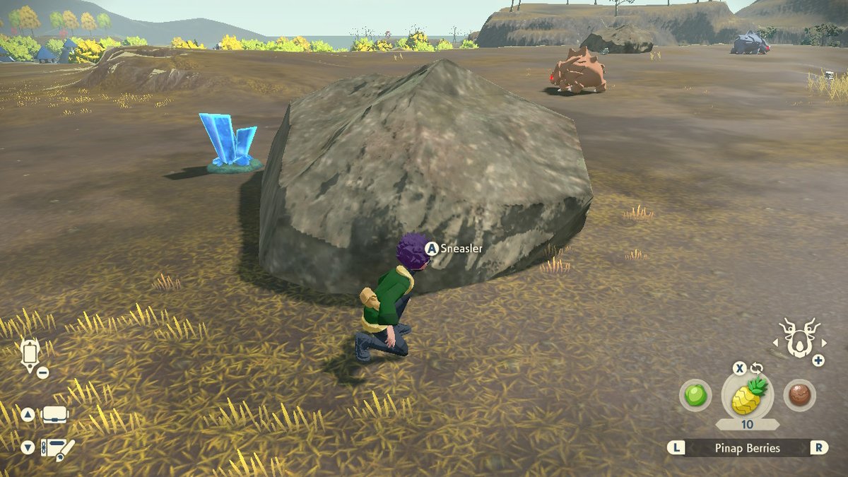 seercull's tweet image. #PokemonLegendsArceus #NintendoSwitch