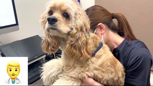 Pote1005さんのイラストまとめ Pote1005さんのイラストまとめ