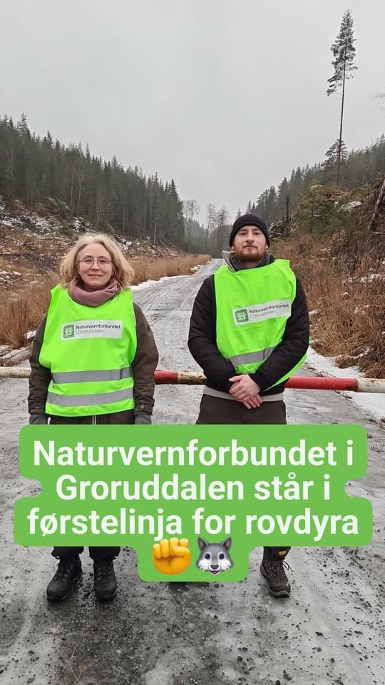 TrulsGulowsen's tweet photo. Mye folk i ulvesona i Rømskog i dag, oppfordrer alle til fredelig, skånsom og sporløs ferdsel i naturen, og håper ulvene får leve. #jatilulv https://t.co/h6kFTbd0TX https://t.co/MOeODAREt1