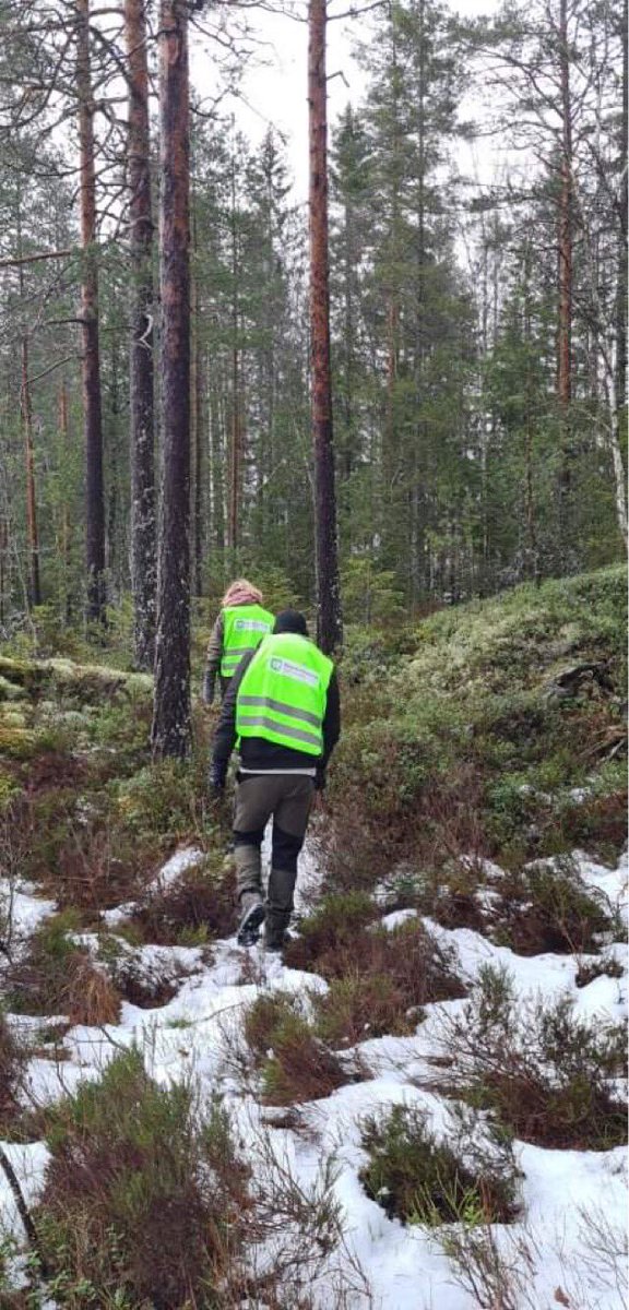 TrulsGulowsen's tweet photo. Mye folk i ulvesona i Rømskog i dag, oppfordrer alle til fredelig, skånsom og sporløs ferdsel i naturen, og håper ulvene får leve. #jatilulv https://t.co/h6kFTbd0TX https://t.co/MOeODAREt1