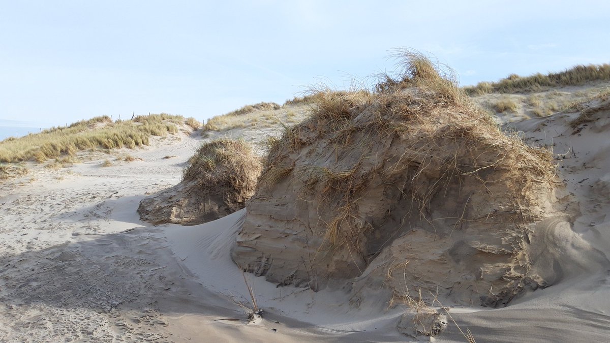CoWiskerke's tweet photo. #looppassie Rondje duinen, strand en bos St. Maartsenszee en Petten. Ijzige tegenwind op het strand. https://t.co/4WLz0xhHzY
