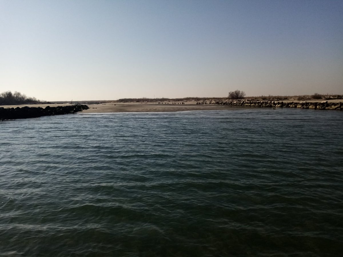 po_delta's tweet photo. Il Po ha ora una foce in meno: si è chiusa una delle bocche del Po di Tolle, non esiste più la Busa del Bastimento
#DeltadelPo #viaggioneldelradelpo #parcodeldelta #siccità #ClimateCrisis #ClimateEmergency https://t.co/OWMmUiKdKo