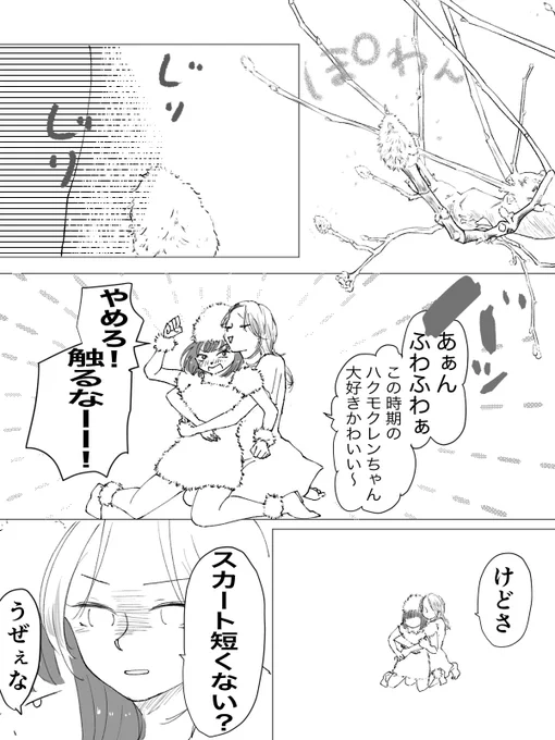 さくら×ハクモクレン2月
#創作百合 