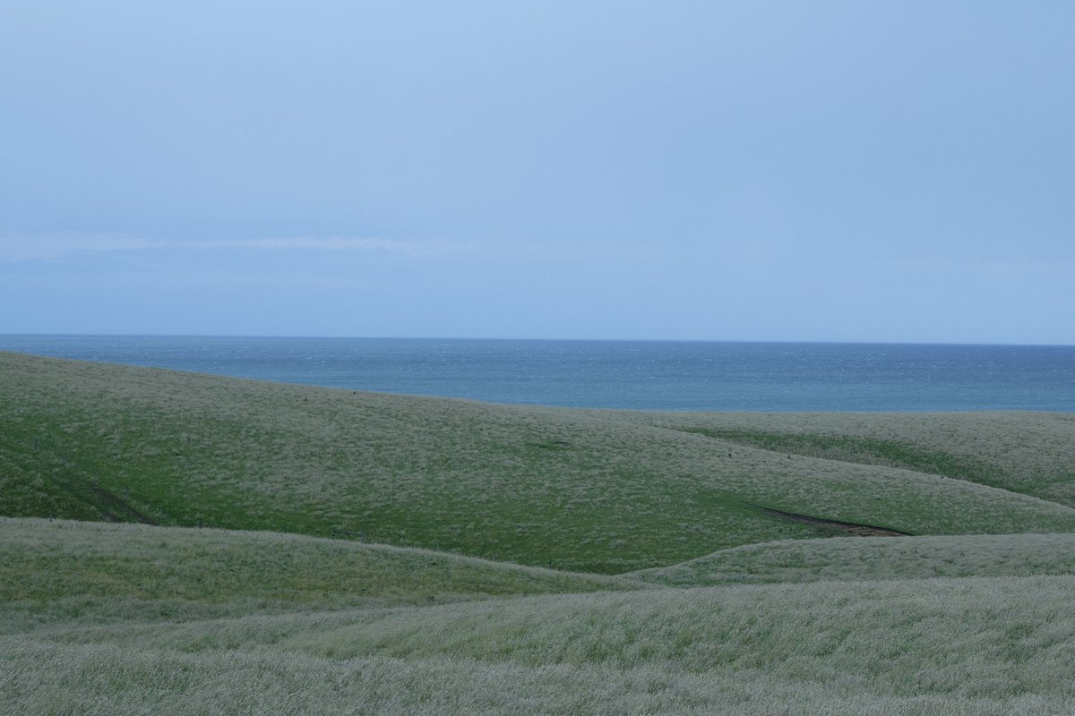 Theme of the week : minimalist landscape