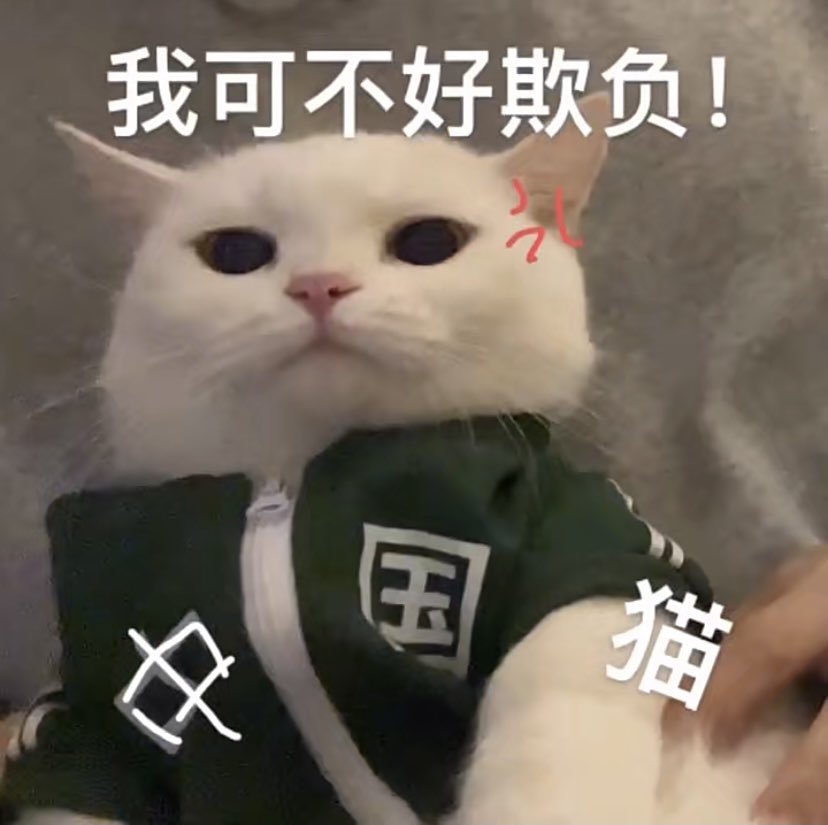 ayako彩子 tweet media
