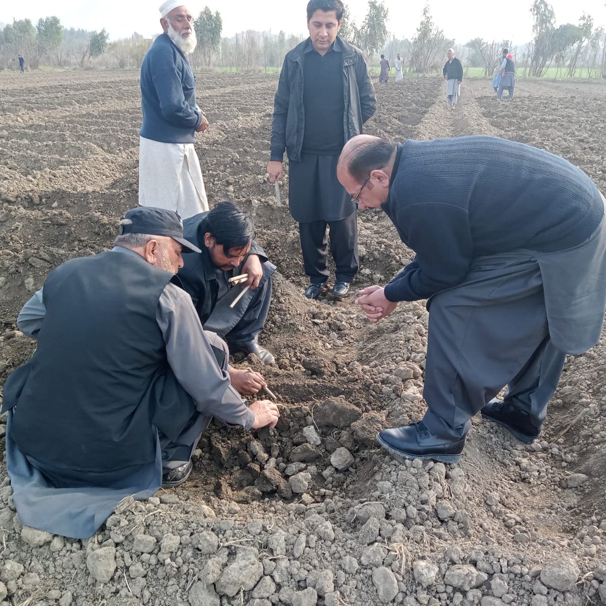 FEWDKPGovt's tweet image. Naveed Ahmad, newly elected chairman lower Mohmand distributed free plants among the local community under #10BTTP and inaugurated #SpringPlantation in District Mohmand